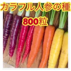 カービィ様 リクエスト 2点 まとめ商品