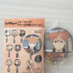 ハイキュー‼︎ トレーディングチャーム付き缶バッジ　vol.1 日向翔陽　烏野
