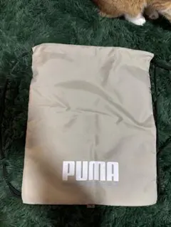 Item thumbnail for item 95ceebea-24ac-4c6b-a7aa-e26eeb676dec