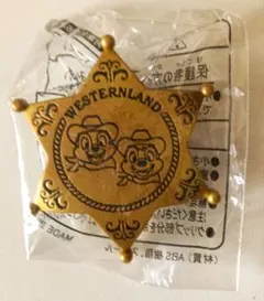 ディズニーランド　ウェスタンランド　シューティングギャラリー(ゴールド)