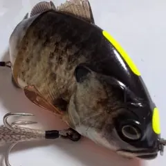 Item thumbnail for item 2b12c4b5-7ffc-4f0b-8f53-5b57723fb4db