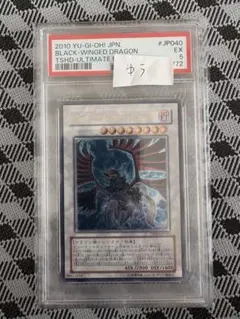 2026年最新】ブラックフェザー・ドラゴンレリーフの人気アイテム