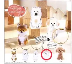 【モカ】わんこのタイムカプセル