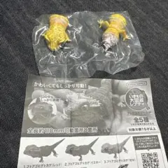 Item thumbnail for item 82ba421a-fbc2-47de-b112-c047f7ab86ae