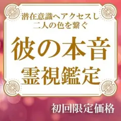 ぴーこ様 リクエスト 2点 まとめ商品