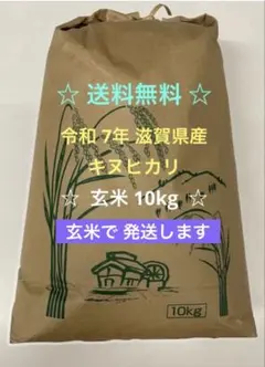 令和 7年 滋賀県産 ☆ 玄米 10㎏のサムネイル