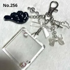 《256》ビーズキーホルダーミニフォトキーホルダーコレクトブック ウィッシュコア