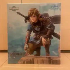ゼルダの伝説 ティアーズオブザキングダム リンク