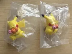 ポケモン ぽかぽかびより2 ピカチュウ×2