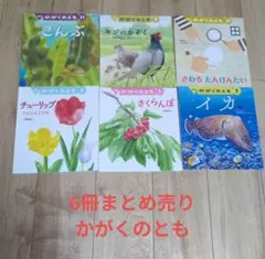 美品　かがくのとも　知育絵本　科学絵本　6冊まとめ売り　幼稚園　小学生