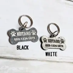 Item thumbnail for item 7f722767-2d4d-4909-9c4e-681818c0e076