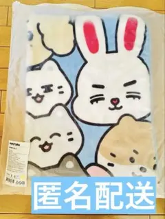 Item thumbnail for item 18a25528-9c4b-4519-8d7c-62073e63f11b