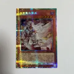 遊戯王 白き竜の落胤 プリズマ ② アジア版 - メルカリ