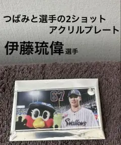 Item thumbnail for item ef3113a3-60da-4c56-8a33-c9c3e7422353