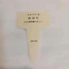 つぶつぶ屋　札のみ　おはなのサムネイル