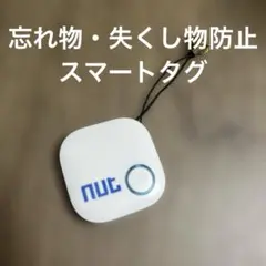 Item thumbnail for item d605d9f6-18b8-4579-b36d-fbf72f1ff641