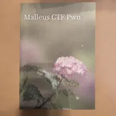 Malleus CTF Pwn
