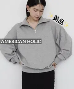 k0317 ✨美品✨　AMERICAN HOLIC ハーフZIPスウェット2