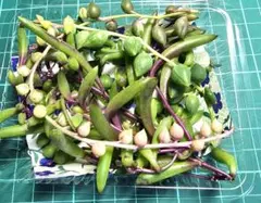 yumitan14様 リクエスト 2点 まとめ商品