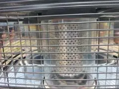 トヨトミストーブのサムネイル
