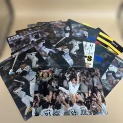 Item thumbnail for item ce1b48d7-d8db-483d-8860-add308bd5932