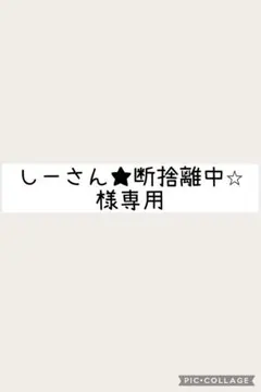 しーさん★断捨離中⭐︎様専用　ネイルチップデザインNo.001ショートバレリーナ