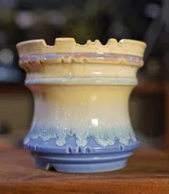 手作植木鉢 陶器鉢 塊根植物 アガべ XXLサイズ 口径20cm A-934 手作植木鉢 陶器鉢 塊根植物 アガべ Mサイズ 口径11cm B-056-1 - メルカリ