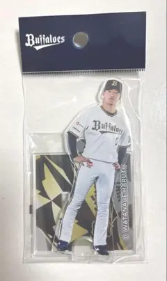 オリックス　アクリルスタンド 渡部遼人