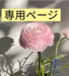 Item thumbnail for item 322e2f50-4ef8-4865-8906-048647aba584