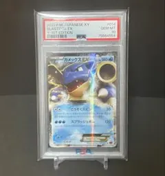 PSA10】MガルーラEX RR XY2 ワイルドブレイズ 065/080 - メルカリ