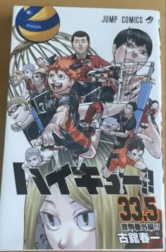 ハイキュー‼︎ 33.5巻　音駒番外編
