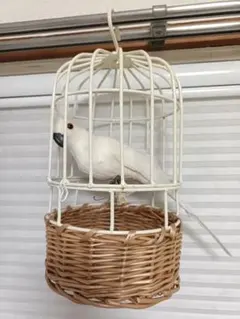 白い小鳥のバードケージ飾り 壁掛けナチュラルインテリア 鳥かごオブジェ
