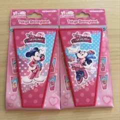 東京ディズニーランド　ミニーファンダーランド　パルパルーザ　ワッペンアクセサリー