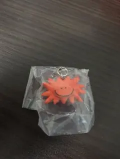 Daisuke Kondo めじるしアクセサリー