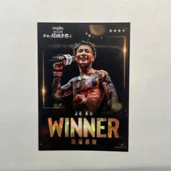 RIZIN 篠塚辰樹 WINNERカード ライコレリアルカード - メルカリ