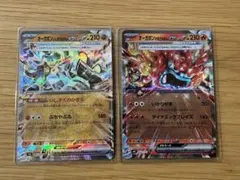 オーガポン ２枚セット