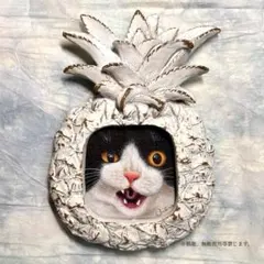 絵画 猫の絵 cat 黒猫 猫の絵 art kawaii 猫 limited - メルカリ