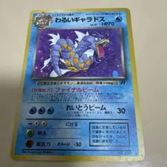 2026年最新】わるいギャラドスの人気アイテム - メルカリ