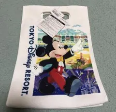 Item thumbnail for item c98f66f6-df98-4ffc-8216-f385587b338f