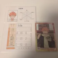 ハイキュー！！　日向翔陽