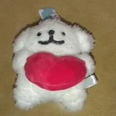 【11月末まで販売値下げ不可】Maltese マルチーズ