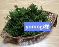 yomogi様専用