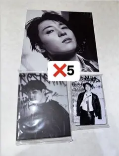 ウォヌ BURSTDAY DAREDEVIL 24種トレカ　バインダー✖️5