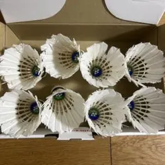 YONEX ニューオフィシャルシャトル 10球 - メルカリ
