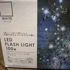 LED 플래시 라이트 100 전구 화이트 C23FL100WH