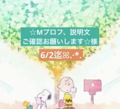 2026年最新】プロフご確認下さいの人気アイテム - メルカリ