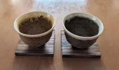 타치요시 온천 2 손님 세트 목제 코스터 첨부