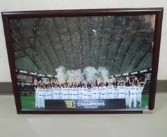 東京ジャイアンツ 2024年 セ・リーグ優勝記念ポスター