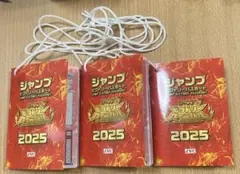 ジャンプビクトリーカーニバル2025 ビクトリーパスポート スタンプあり　3冊