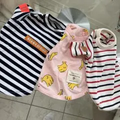 犬服 3点セット BEAMS DESIGN 他のサムネイル